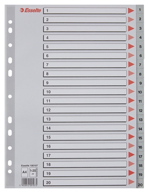Esselte Register PP A4 1-20 gris