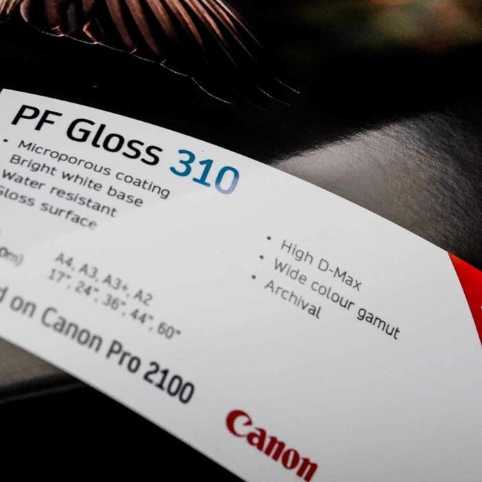 PF Gloss 310 g/m²